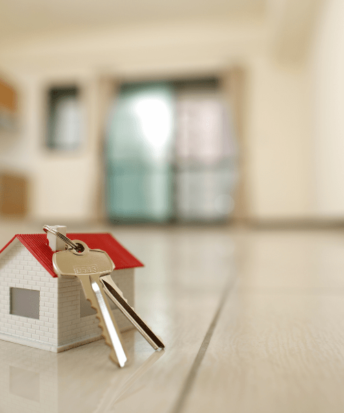 a couple of red chairs sitting next to a cactus
